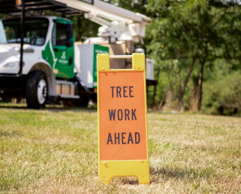 arbor maintenance