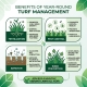 top turf lawn care and pest control