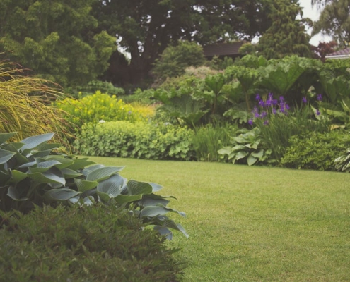 simple landscape design images