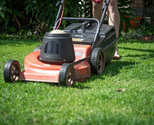 top turf lawn care and pest control