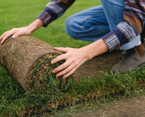 turf sod installation Staunton
