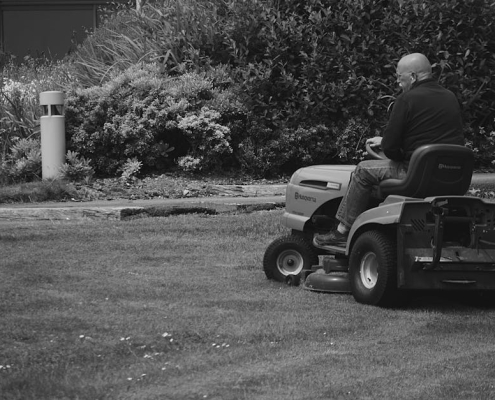 staunton commercial lawn services