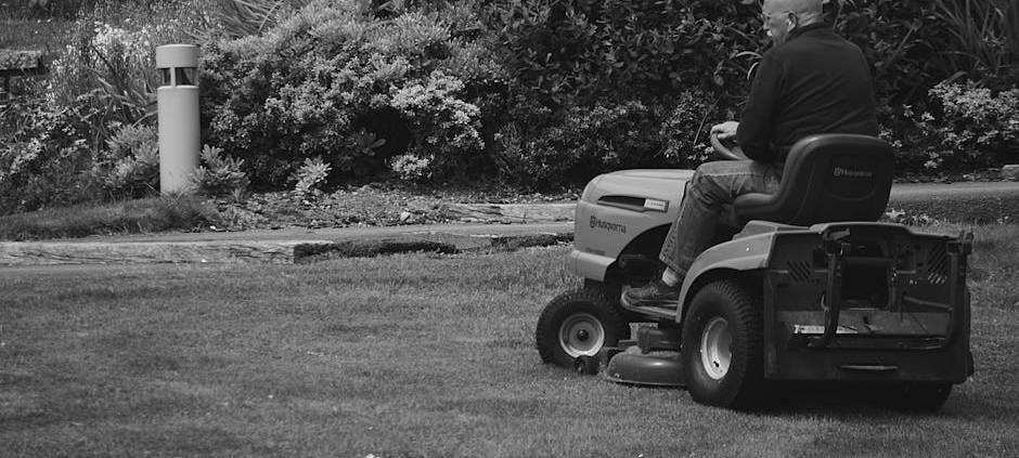 staunton commercial lawn services