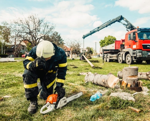 professional arborist staunton va