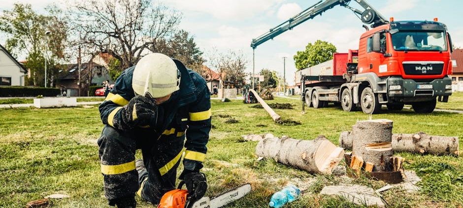 professional arborist staunton va